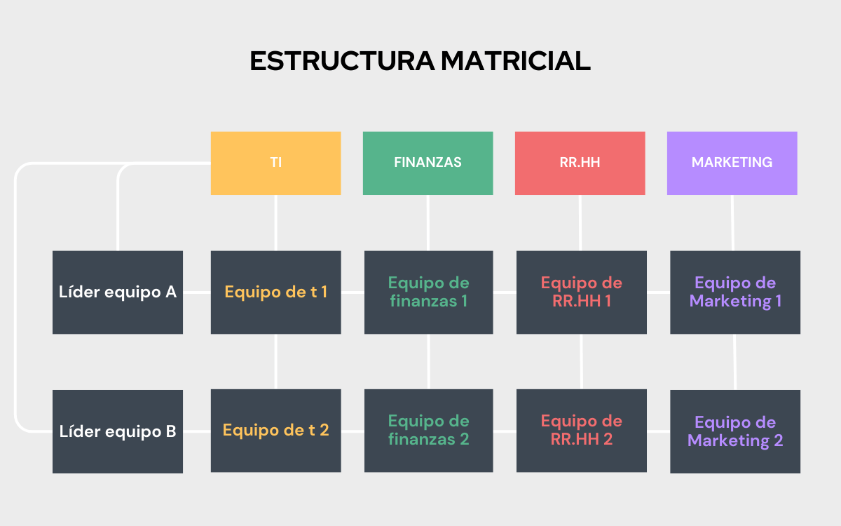 Organización matricial Qué es Cuándo aplicarla