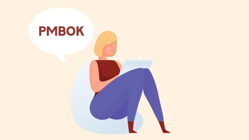 administración de proyectos pmbok