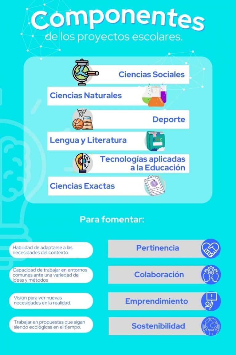 Proyectos Escolares: Ideas y Campos de Acción Principales