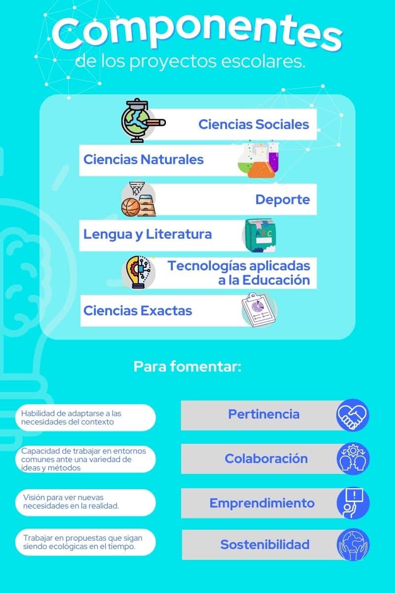 Proyectos Escolares: Ideas y Campos de Acción Principales